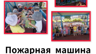 Акция "Безопсное лето".